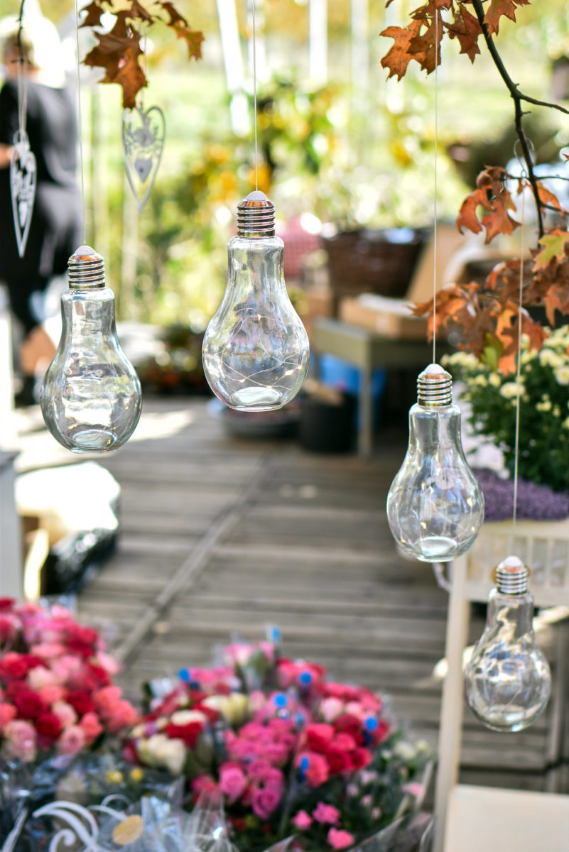 Altes Land im Obstparadies Schuback