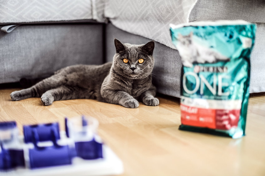 PurinaONE fuer Katzen