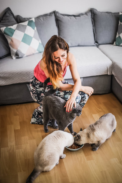 PurinaONE Mischfuetterungsempfehlung