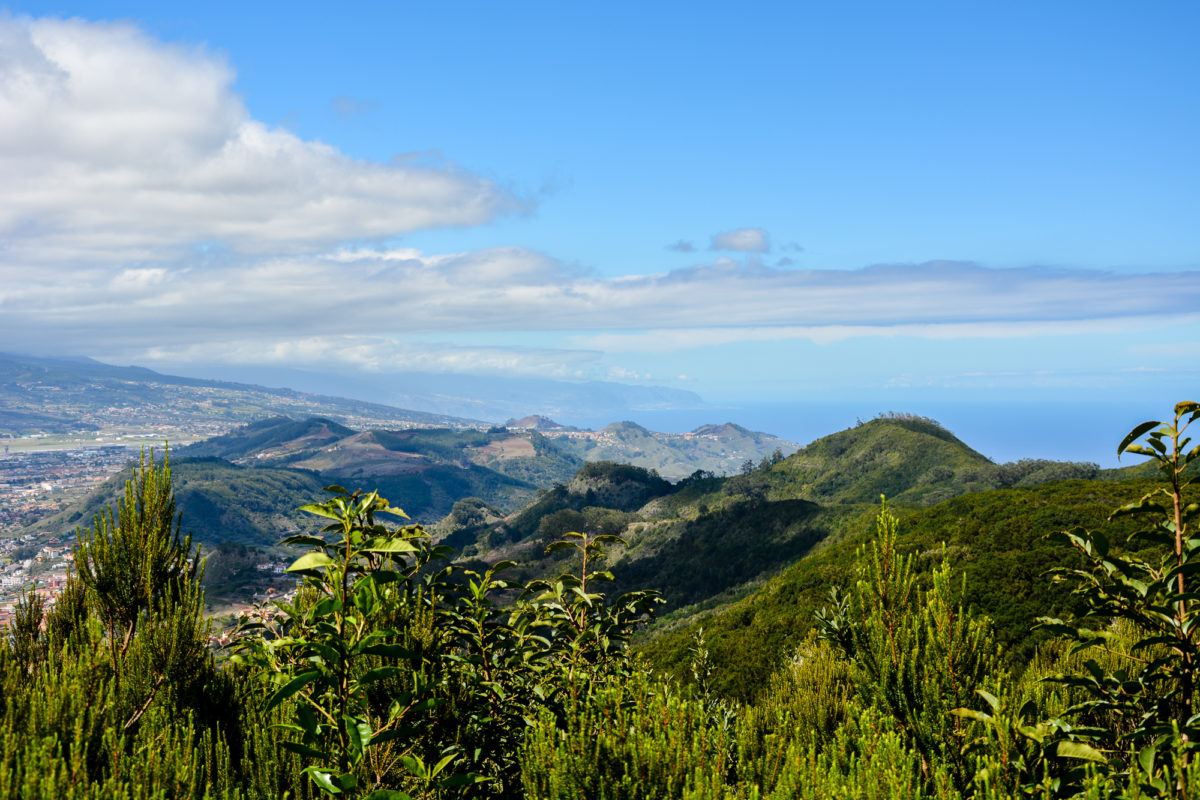 Tenerife landscape